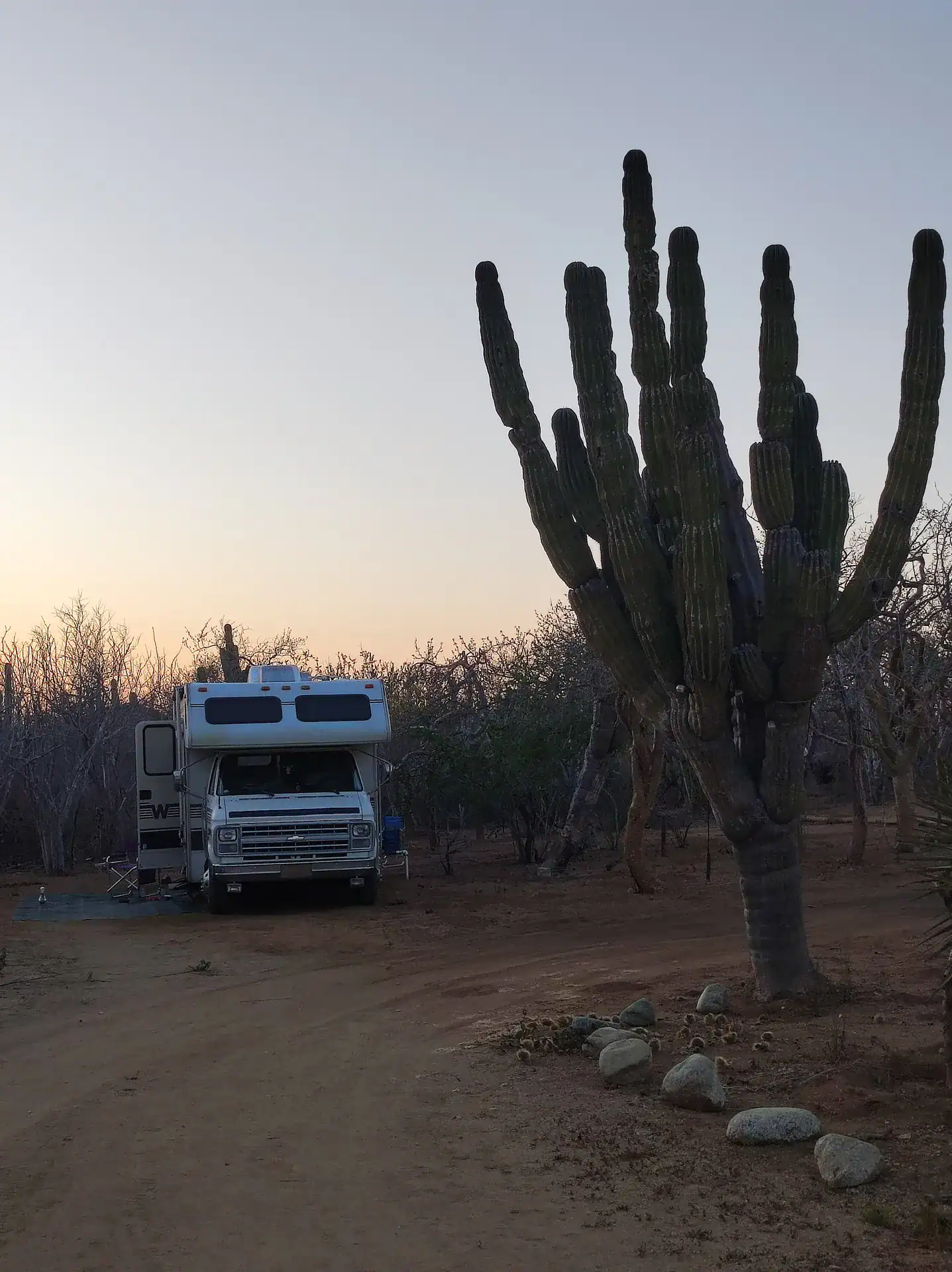 Winnebago in Mexico with a huge cactus
