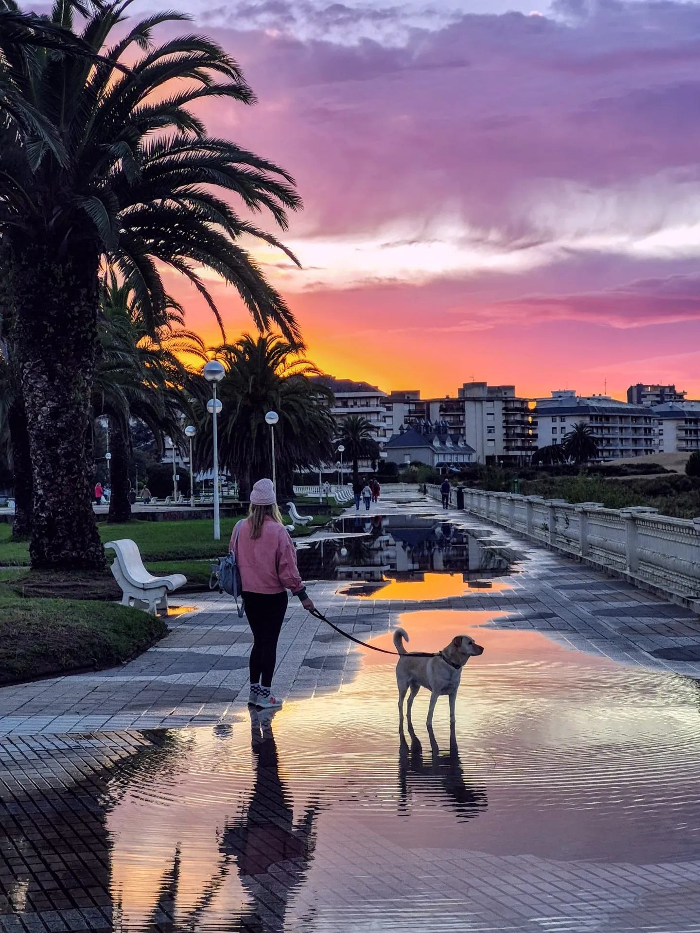pink and orange sunset in northern Spain a girl and a dog