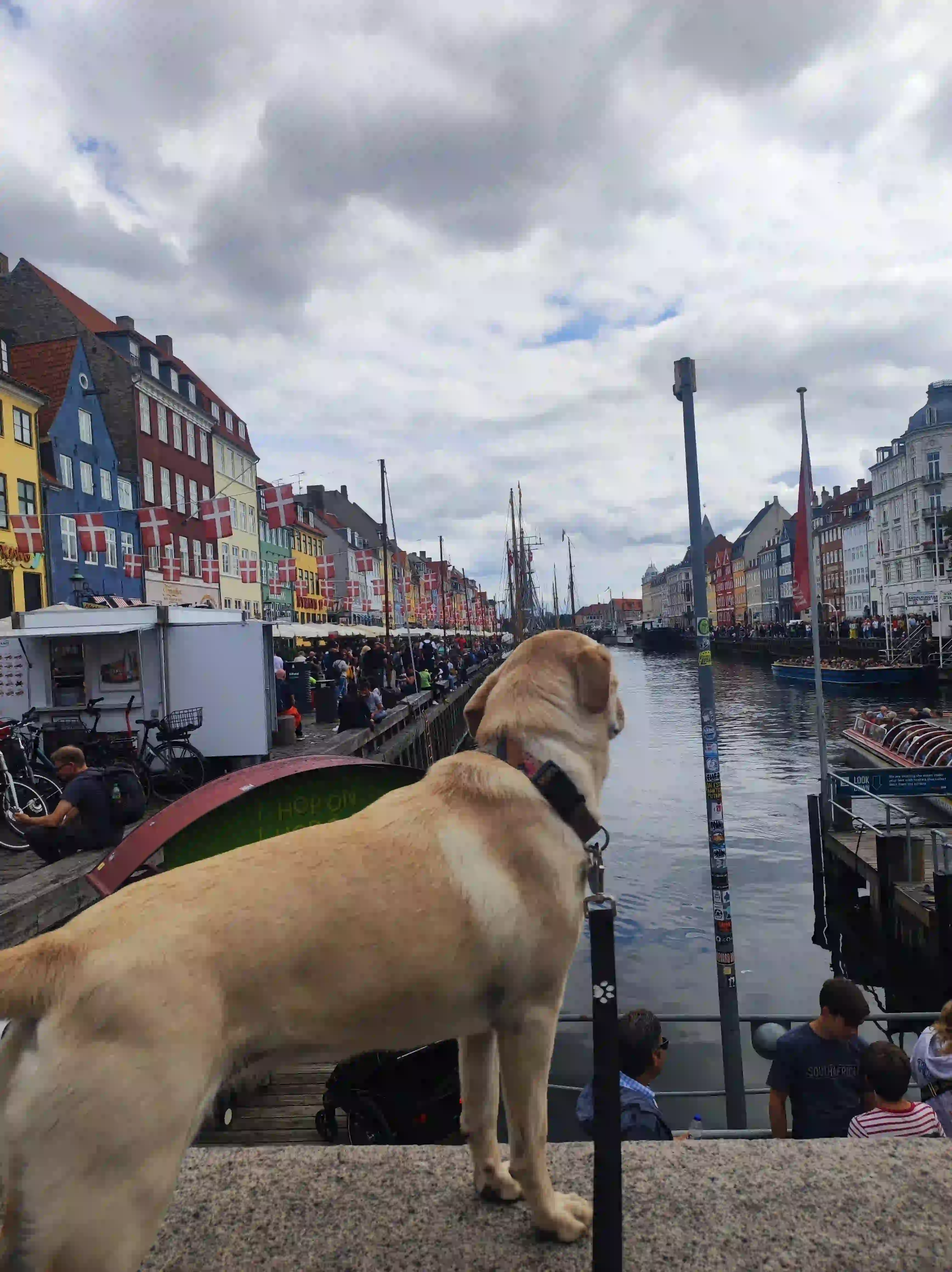Road Trip Through Denmark: A Travel Guide
