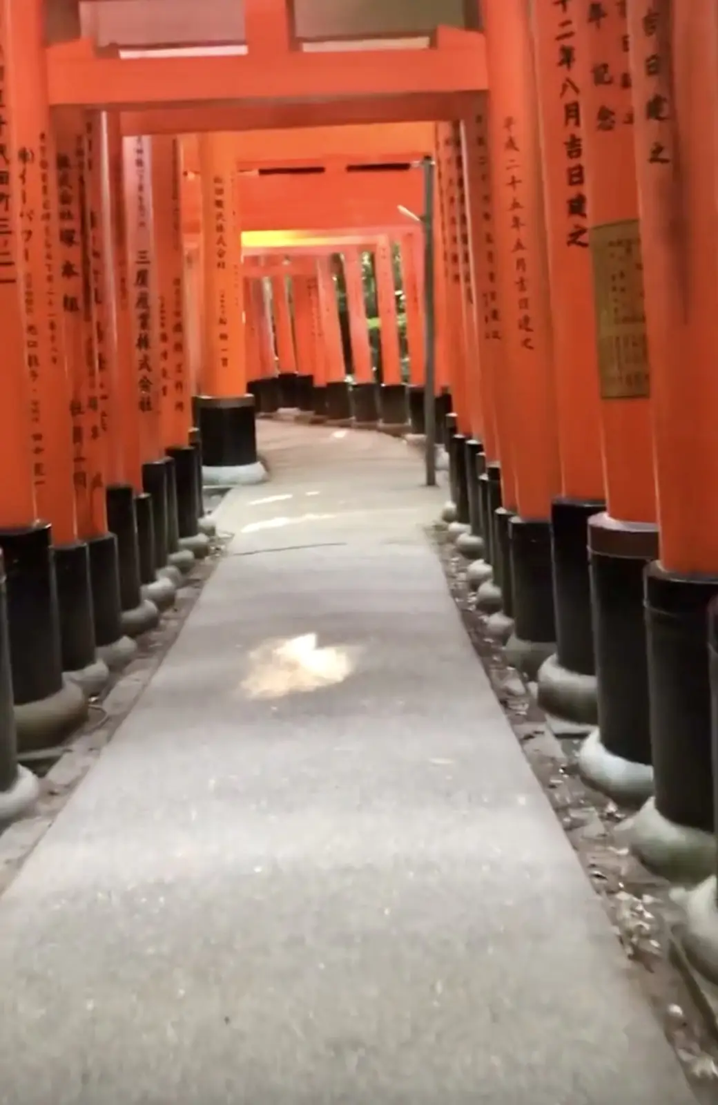 Japan Travel Guide Orange Pole